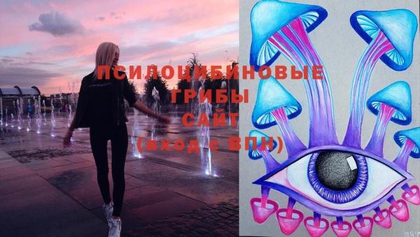 герыч Алзамай