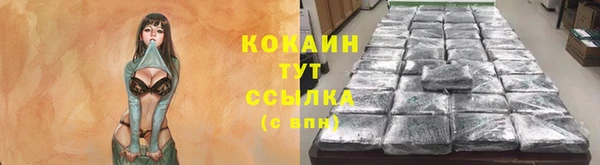 кокс Алексин