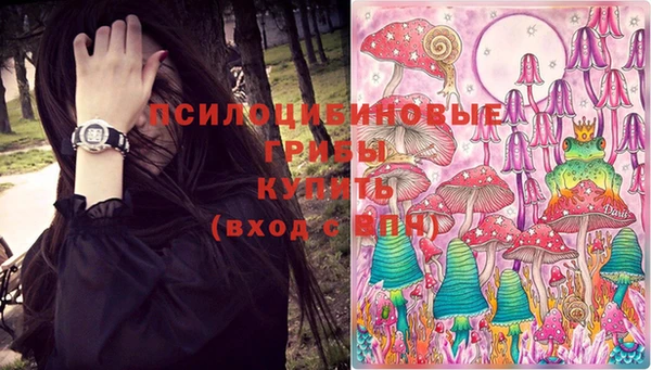 герыч Алзамай